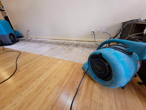 Professional Water Damage Repair technician working in Tarzana, CA